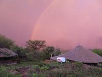 Serengeti - Serengeti Simba Lodge - Regenbogen und Gewitter