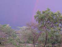 Serengeti - Serengeti Simba Lodge - Regenbogen und Gewitter