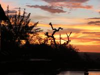 Serengeti - Serengeti Simba Lodge - Sonnenuntergang