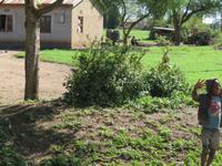 Fahrt zum Bush-Airstrip 