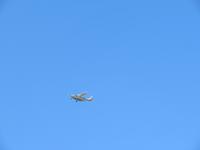 Abschied von der  Serengeti - unsere Chessna kommt angeflogen