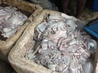 Stone Town - Fisch-Markt