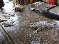 Stone Town - Fisch-Markt