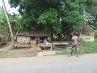 Ausflug zur Gewürzfarm