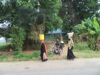 Ausflug zur Gewürzfarm