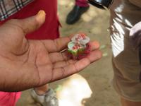 Besuch Gewürzfarm -