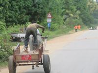 Rückfahrt zum Resort - Impressionen am Straßenrand