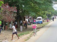 Rückfahrt zum Resort - Impressionen am Straßenrand