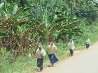 Rückfahrt zum Resort - Impressionen am Straßenrand - Schulkinder