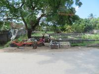 Rückfahrt zum Resort - Impressionen am Straßenrand