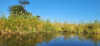 172 herrliche Flusslandschaft entlang des Kwandos