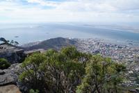Tafelberg (4)