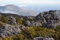 Plateau Tafelberg