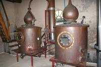 Blaauwklippen Weingut (2)