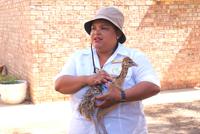 Highgate Straußenfarm (3)