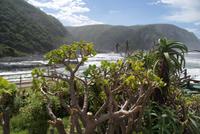 Tsitsikamma National Park (2)