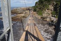Tsitiskamma NP Hängebrücke (3)