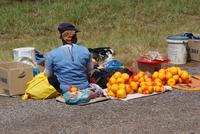 Händler am Wegesrand (2)