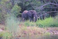 Bootsfahrt auf dem Zambezi