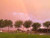 Sonne & Regen = Regenbogen 