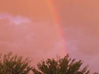 afrikanischer Regenbogen