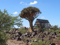 Picknikplatz im Köcherbaumwald