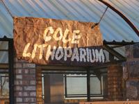 hier wohnen die lebenden Steine