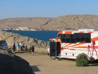 Haifisch Insel Lüderitz