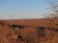 morgentliche Farmrundfahrt - Pampa soweit das Auge reicht