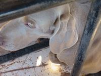 ... ich mach mich auch ganz klein