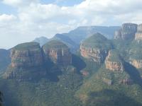 Blyde River Canyon - Tree Rondalves