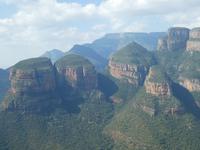 Blyde River Canyon - Tree Rondalves