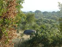 Krüger Nationalpark