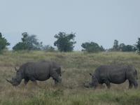Krüger Nationalpark
