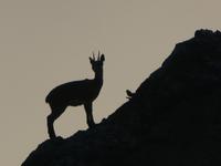 Krüger Nationalpark