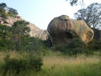 Krüger Nationalpark