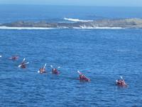 Tsitsikamma Nationalpark