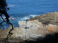 Tsitsikamma Nationalpark