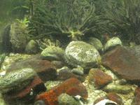 Bartholomeus Diaz Museum