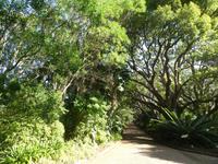 Botanischer Garten Kirstenbosch