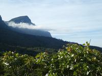 Botanischer Garten Kirstenbosch