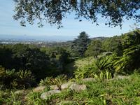 Botanischer Garten Kirstenbosch