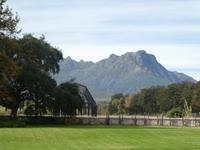 Weingut Blaauwklippen