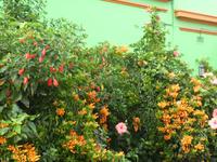 Kapstadt Bo Kaap Viertel