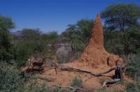 Unterwegs in Namibia