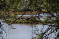 Okanjati Game Reserve