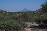 Okanjati Game Reserve