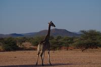 Okanjati Game Reserve