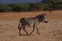 Okanjati Game Reserve