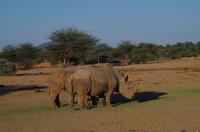 Okanjati Game Reserve